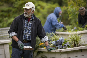 Imagen de La ley de Jenny Pen - 6