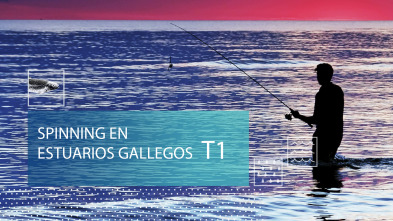 Imagen de Spinning en estuarios gallegos (T1) - 2