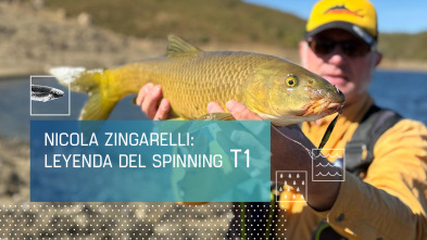 Imagen de Nicola Zingarelli: Leyenda del spinnig (T1) - 2