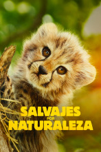 Imagen de Salvajes por naturaleza  - 1