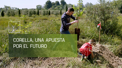 Imagen de Corella, una apuesta por el futuro - 2