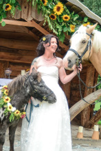 Imagen de Ultimate Wedding Planner (T1): Ep.2 - 1