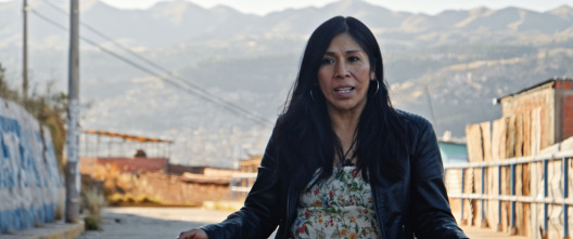 Imagen de Solo Javier - 4