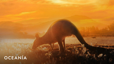 Imagen de Oceanía  - 2