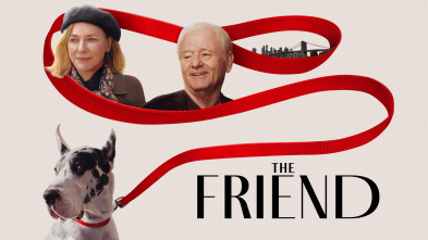 Imagen de El amigo - 2