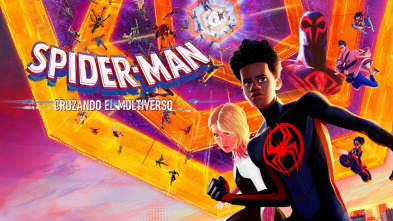Imagen de Spider-Man: Cruzando el Multiverso - 2