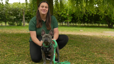 Imagen de The Dog House (T7): Ep.1 - 2