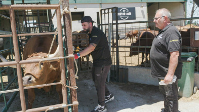 Imagen de Granjas en acción (T1): Ep.7 - 2