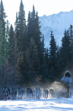 Imagen de Vida bajo cero: Cambio de guardia - 1