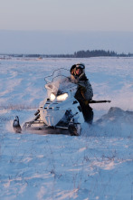 Imagen de Vida bajo cero: Sin garantías - 1