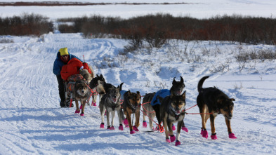 Imagen de Vida bajo cero: La prueba de fuego - 2