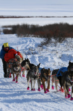 Imagen de Vida bajo cero: La prueba de fuego - 1