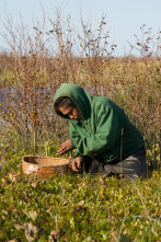 Imagen de Vida bajo cero: Nadie pelea solo - 1