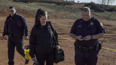 Imagen de Detective americano,...: Un rostro sin nombre - 2