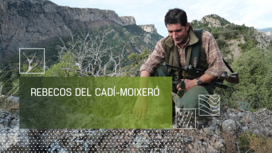 Imagen de Rebecos del Cadí-Moixeró - 2