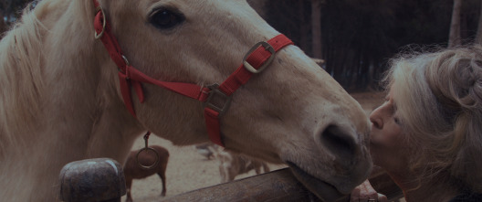 Imagen de Bardot - 3