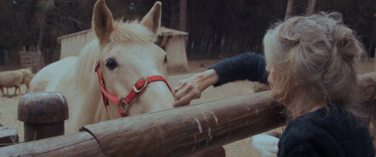 Imagen de Bardot - 5