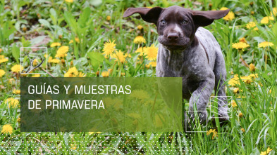 Imagen de Guias y muestras de primavera - 2