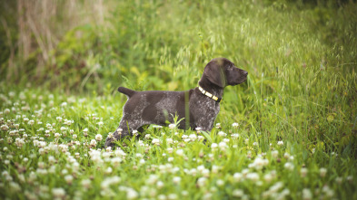 Imagen de Guias y muestras de primavera - 3