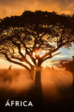 Imagen de ÁFrica  - 1