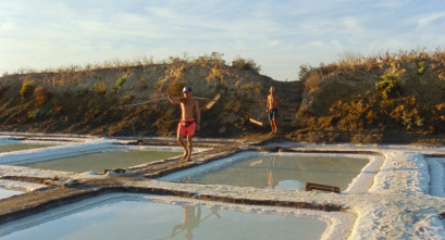 Imagen de La soledad de los lagartos - 3