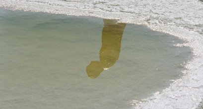 Imagen de La soledad de los lagartos - 5