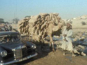 Imagen de La Revolución islámica...: De enero a junio - 8