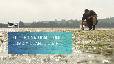 Imagen de El cebo natural: donde, cómo y cuándo usarlo - 2