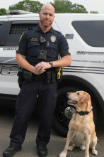 Imagen de Body Cam: No te rindas - 1