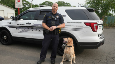 Imagen de Body Cam: No te rindas - 2