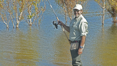 Imagen de Carpas de otoño en Valmayor - 3