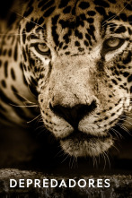 Imagen de Depredadores  - 1