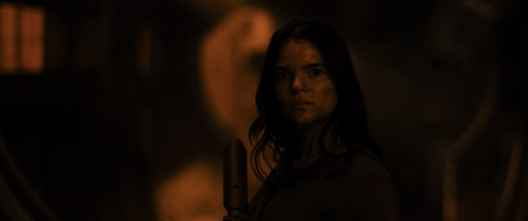 Imagen de Aliens vs. Comandos - 10