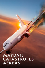 Imagen de Mayday: catástrofes...: El avión perdido - 1