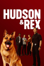 Imagen de Hudson & Rex (T8) - 1