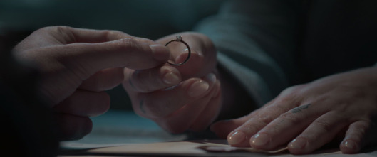 Imagen de El estafador del amor: El camaleón - 5