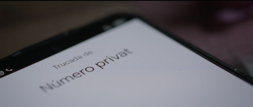 Imagen de El estafador del amor: El camaleón - 8