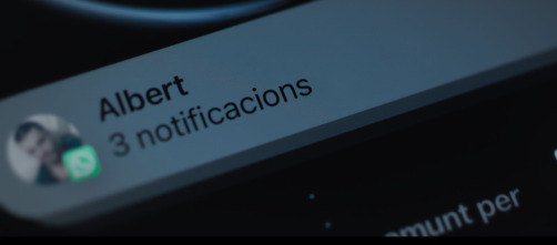 Imagen de El estafador del amor: El camaleón - 13