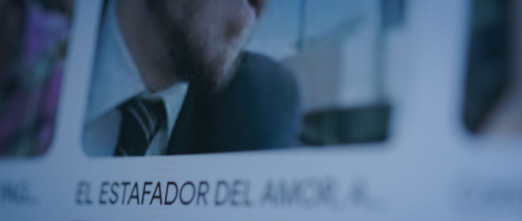 Imagen de El estafador del amor: El depredador - 6