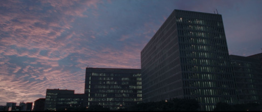 Imagen de El estafador del amor: El depredador - 10