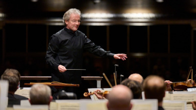 Imagen de Mahler Song Cycles: Songs of a Wayfarer - 2