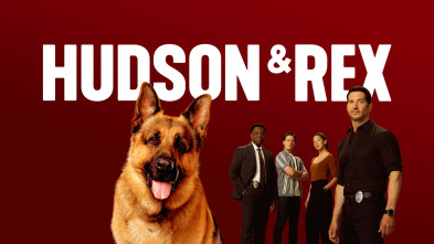 Imagen de Hudson & Rex (T8) - 4