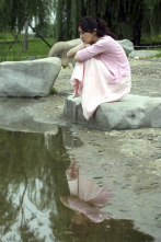 Imagen de Hierro 3 - 5