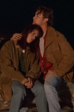 Imagen de Cinco en familia (T3): Ep.1 Verano agridulce - 1