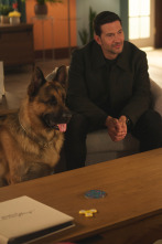 Imagen de Hudson y Rex (T8): Ep.2 Testigo a la fuga - 1