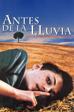 Imagen de Antes de la lluvia - 1