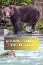 Imagen de Montañas rocosas, territorio grizzly 1 - 1