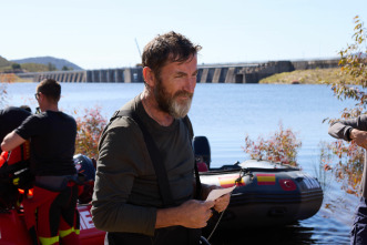 Imagen de Los Tigres - 8