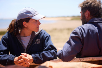 Imagen de Los Tigres - 12