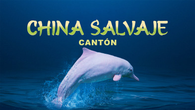 Imagen de China Salvaje: Cantón  - 2